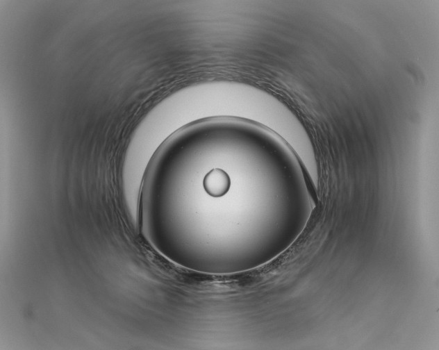 X0000112880320200909041646