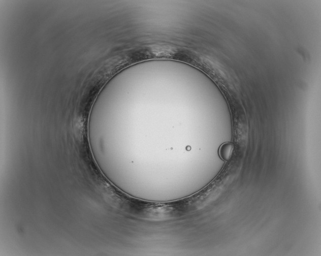 X0000112880321200909041646