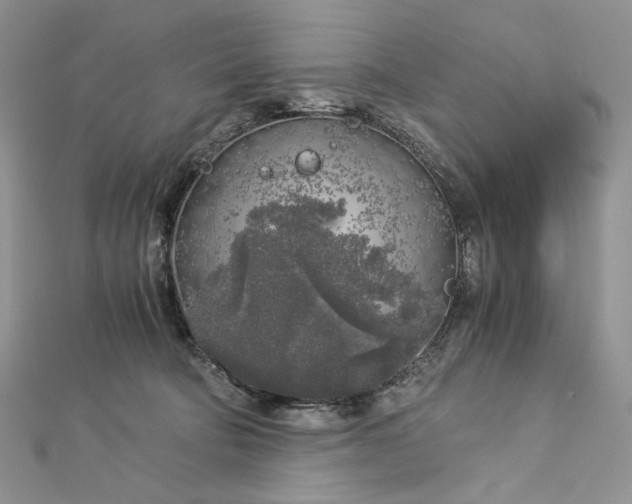 X0000112880322200909041646