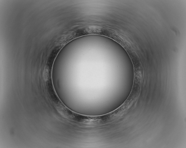 X0000112880323200909041646