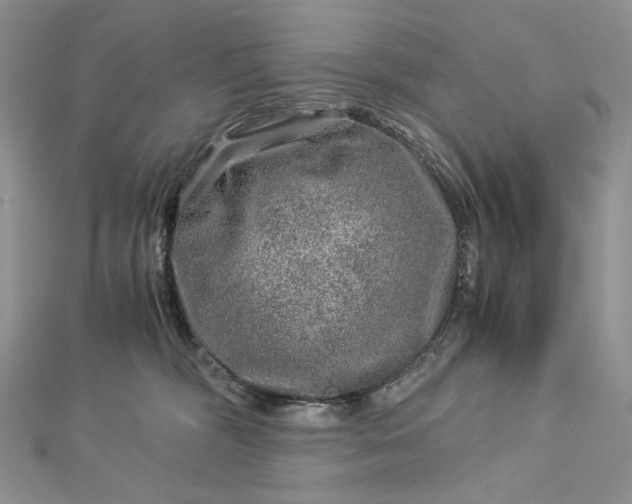 X0000112880326200909041646