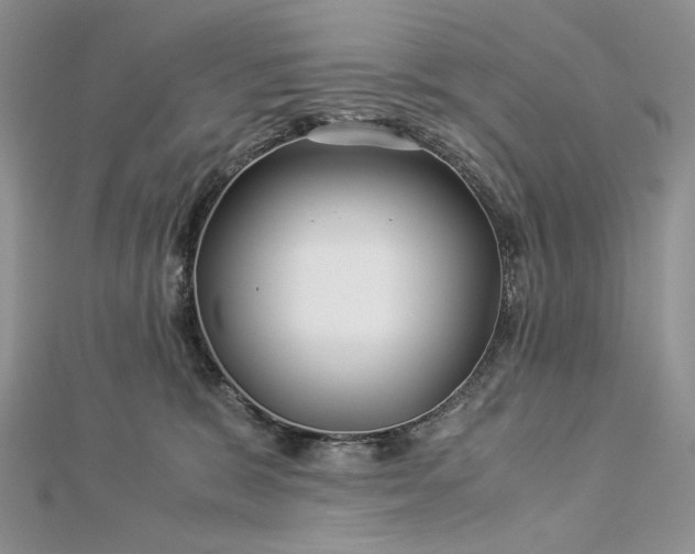 X0000112880327200909041646