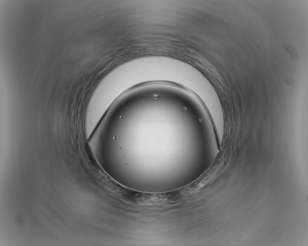 X0000112880329200909041646