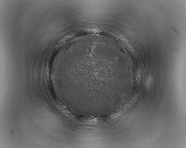 X0000112880330200909041646