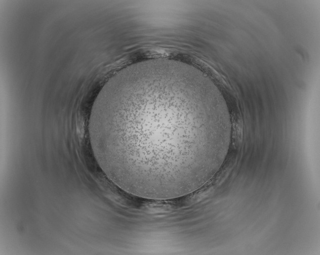 X0000112880331200909041646