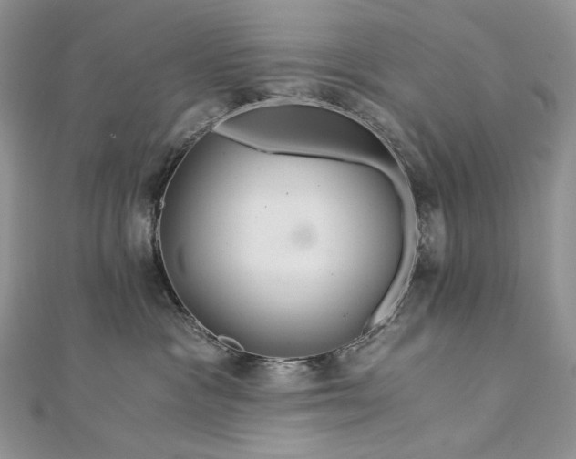 X0000112880333200909041646