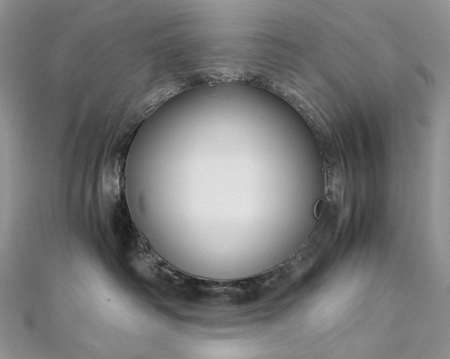 X0000112880334200909041646