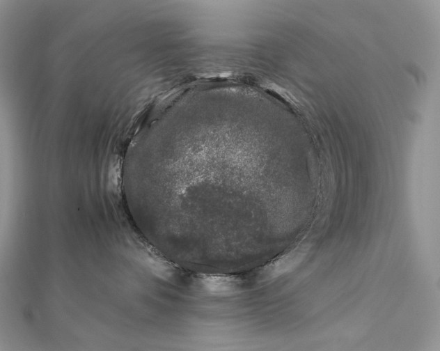 X0000112880336200909041646