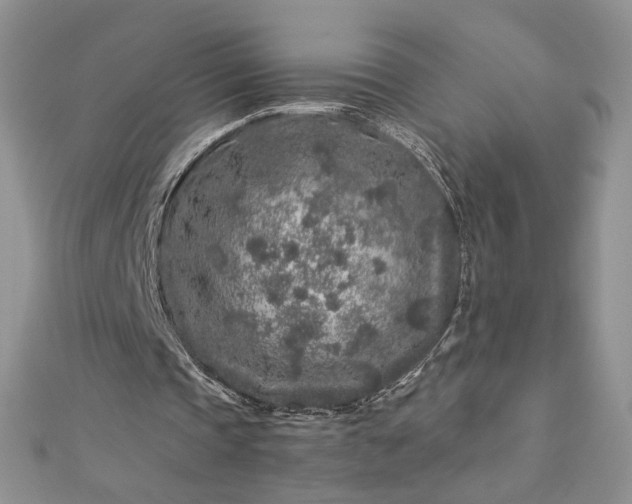 X0000112880337200909041645