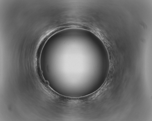 X0000112880342200909041645