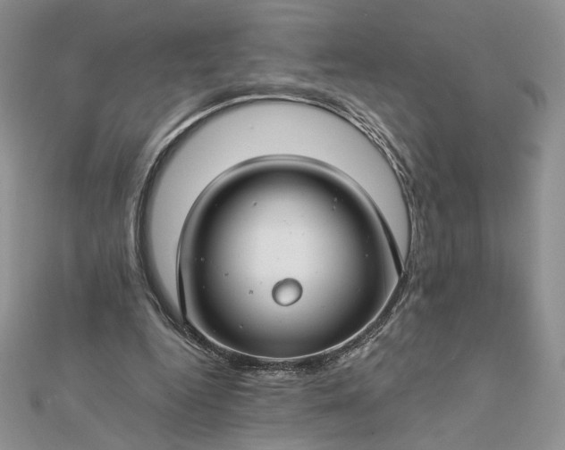 X0000112880344200909041645