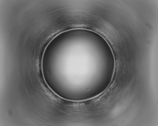 X0000112880345200909041646