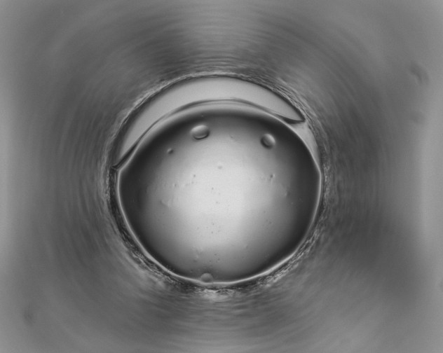 X0000112880346200909041646