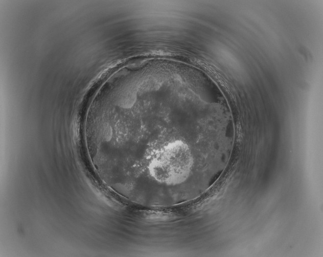 X0000112880347200909041646