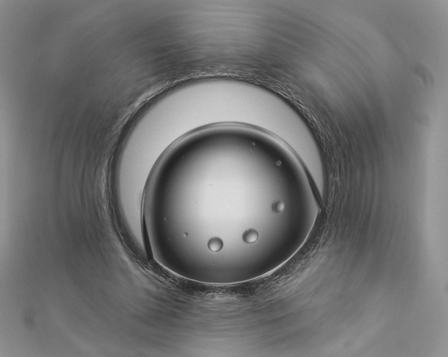 X0000112880348200909041646