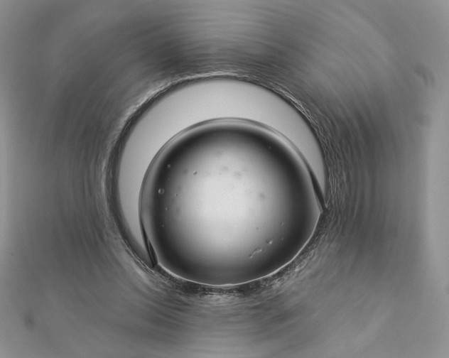 X0000112880350200909041646