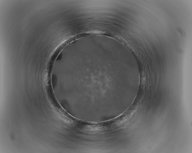 X0000112880351200909041646