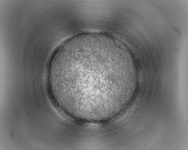 X0000112880352200909041646