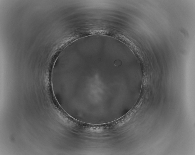 X0000112880353200909041646