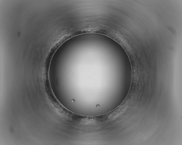 X0000112880354200909041646