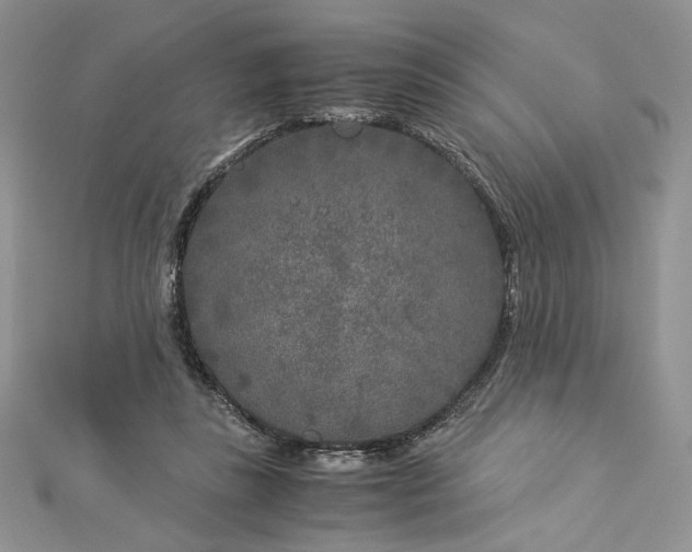 X0000112880355200909041646