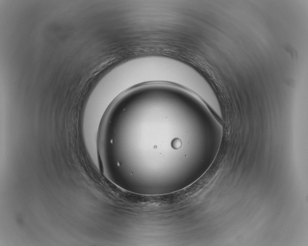 X0000112880356200909041646