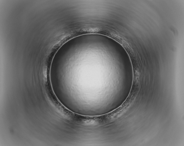 X0000112880358200909041646