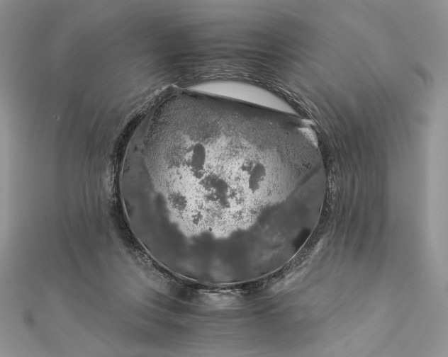 X0000112880359200909041646