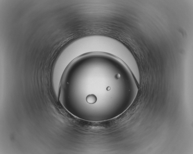 X0000112880360200909041646