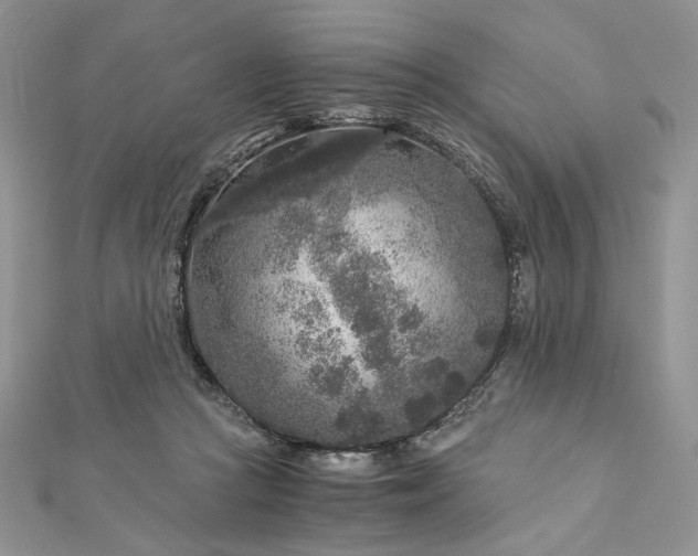 X0000112880361200909041646