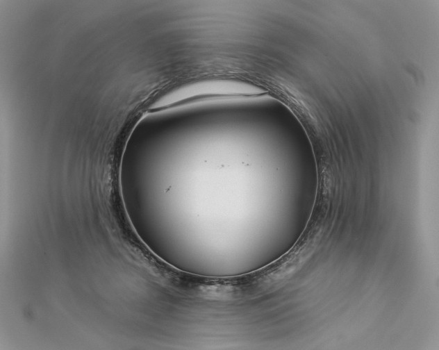 X0000112880362200909041646