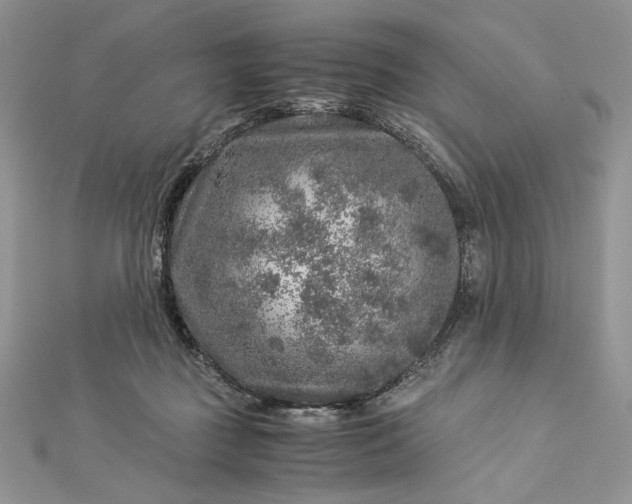 X0000112880363200909041646