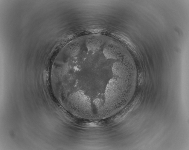 X0000112880365200909041646