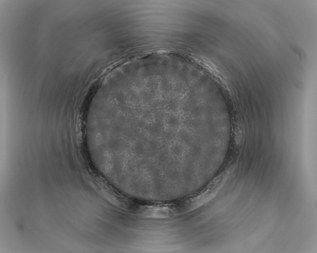 X0000112880366200909041646