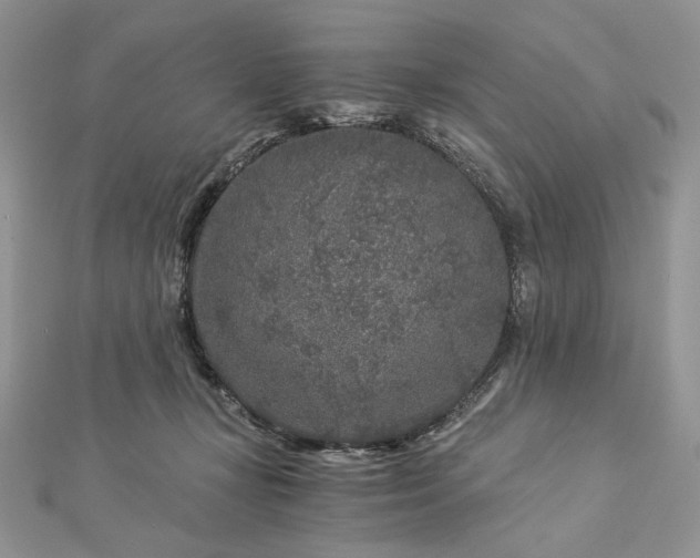 X0000112880367200909041646