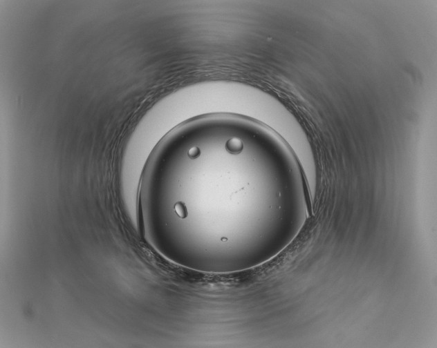 X0000112880368200909041646