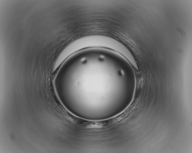 X0000112880369200909041646