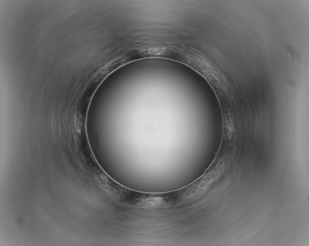 X0000112880374200909041646