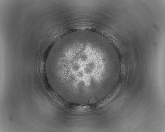 X0000112880375200909041646