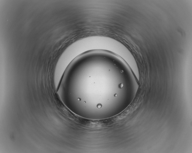 X0000112880376200909041646