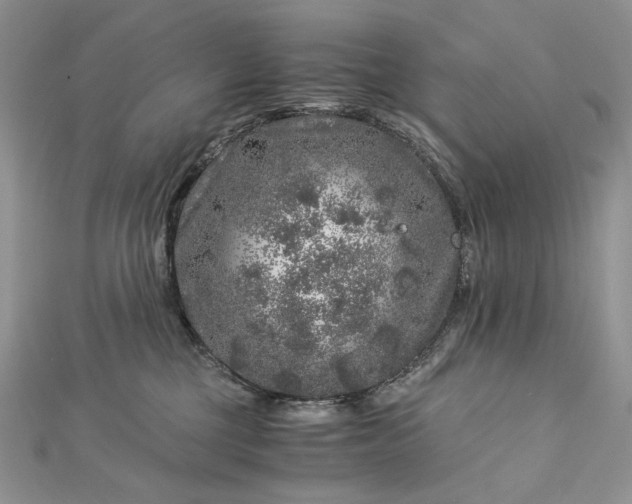 X0000112880377200909041646