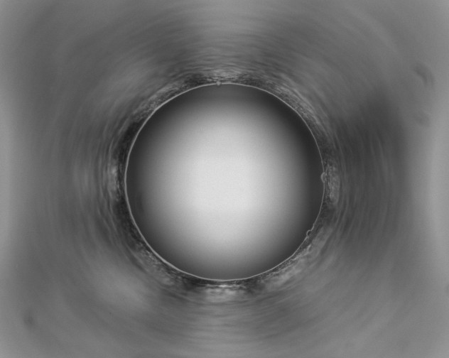 X0000112880378200909041646