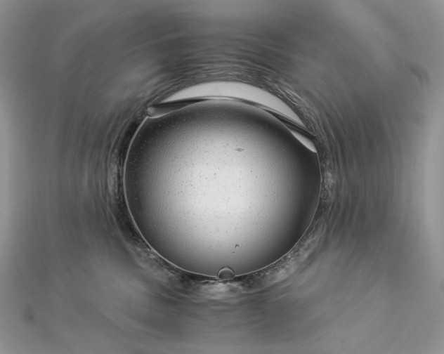 X0000112880379200909041646