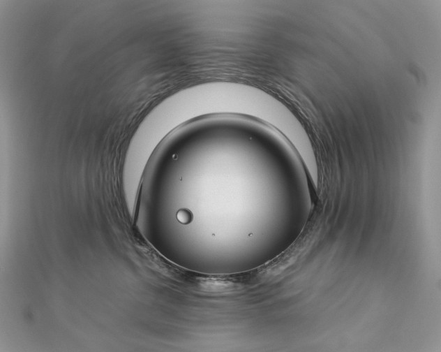 X0000112880380200909041646