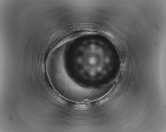 X0000112880381200909041646