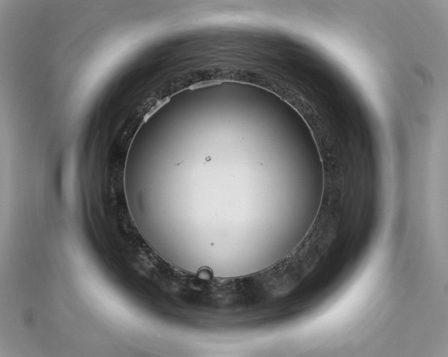 X0000112880382200909041646