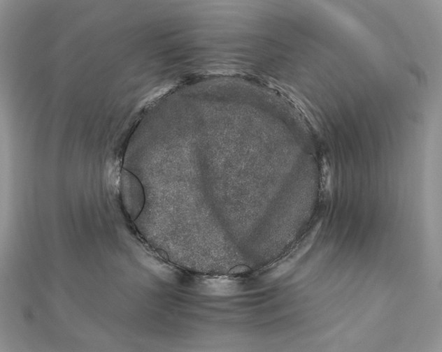 X0000112880383200909041646