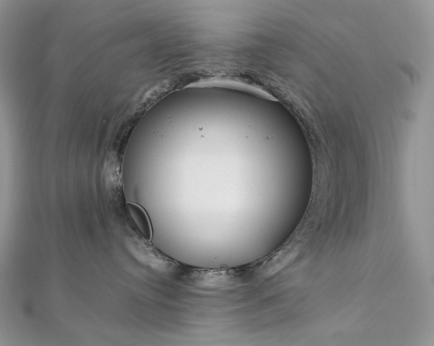 X0000112880384200909041646