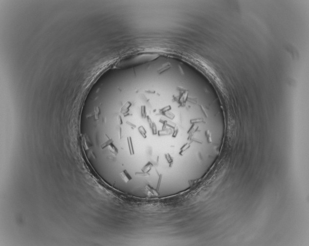 X0000112880385200909041645