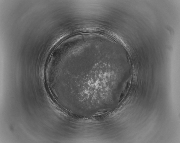 X0000112880386200909041645